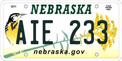 NE license plate AIE233