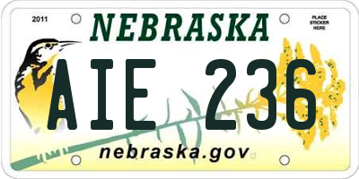 NE license plate AIE236