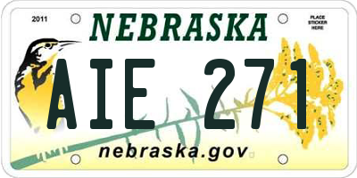 NE license plate AIE271