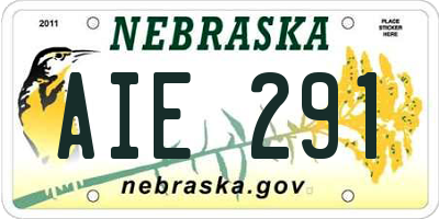 NE license plate AIE291