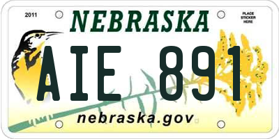 NE license plate AIE891