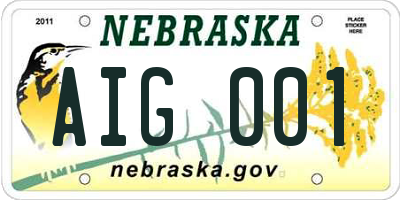 NE license plate AIG001