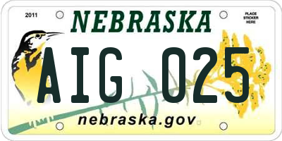 NE license plate AIG025