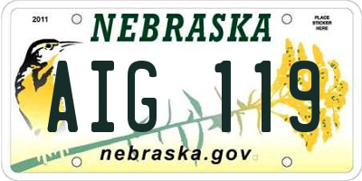 NE license plate AIG119