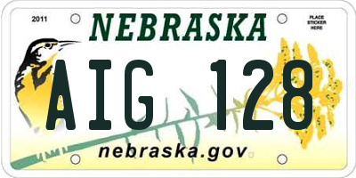 NE license plate AIG128