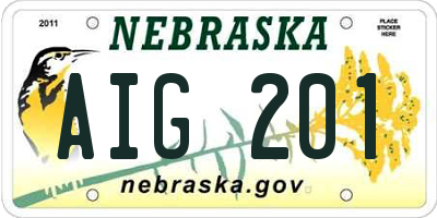 NE license plate AIG201