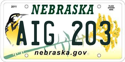 NE license plate AIG203