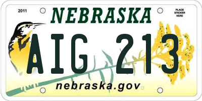 NE license plate AIG213