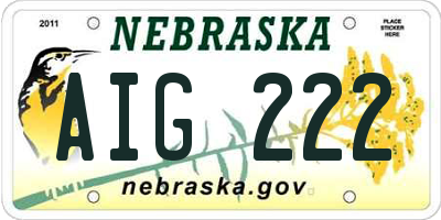 NE license plate AIG222