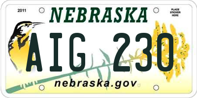 NE license plate AIG230