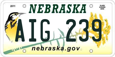 NE license plate AIG239