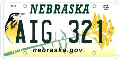 NE license plate AIG321