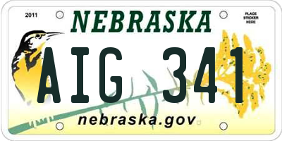 NE license plate AIG341