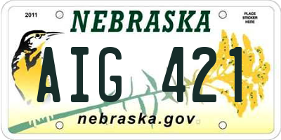 NE license plate AIG421