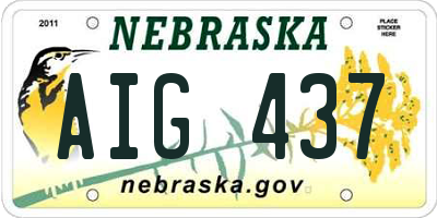 NE license plate AIG437