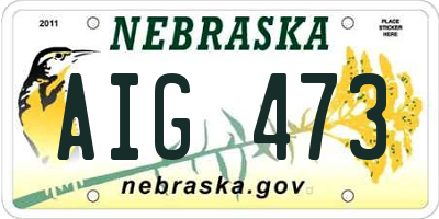 NE license plate AIG473