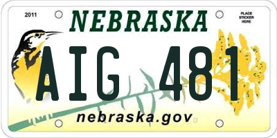NE license plate AIG481