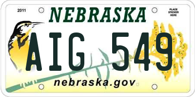 NE license plate AIG549
