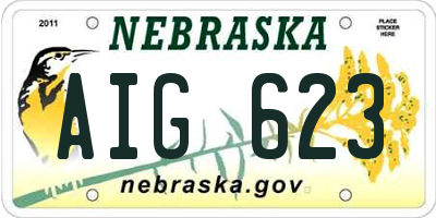 NE license plate AIG623