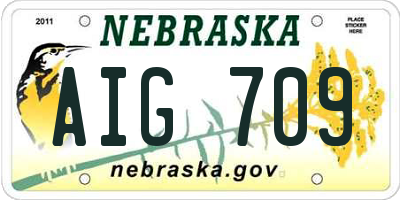 NE license plate AIG709