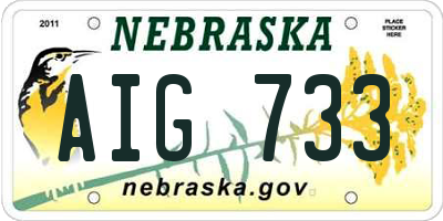 NE license plate AIG733