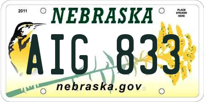 NE license plate AIG833