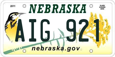 NE license plate AIG921