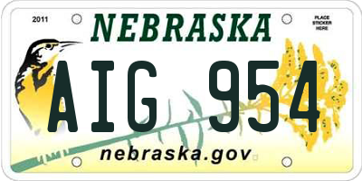 NE license plate AIG954