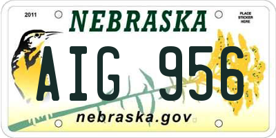 NE license plate AIG956