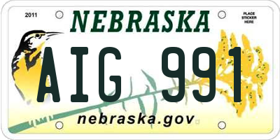 NE license plate AIG991