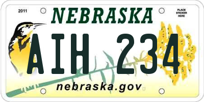 NE license plate AIH234