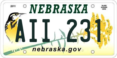 NE license plate AII231