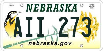 NE license plate AII273