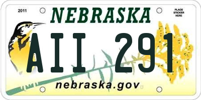 NE license plate AII291