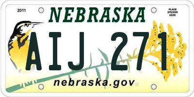 NE license plate AIJ271