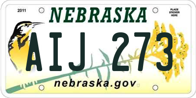 NE license plate AIJ273