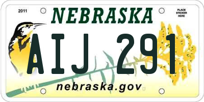 NE license plate AIJ291