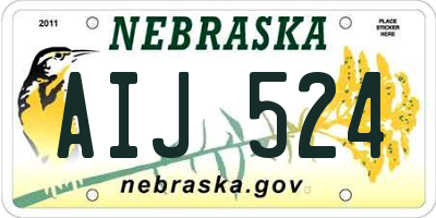 NE license plate AIJ524