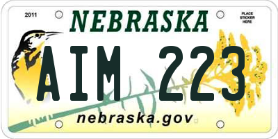 NE license plate AIM223