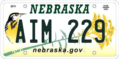NE license plate AIM229