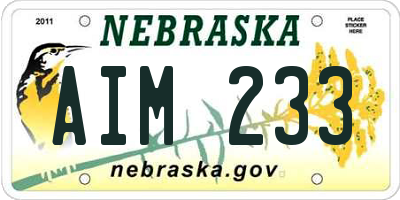 NE license plate AIM233