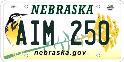 NE license plate AIM250