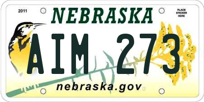 NE license plate AIM273