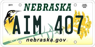 NE license plate AIM407