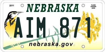 NE license plate AIM871
