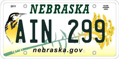 NE license plate AIN299