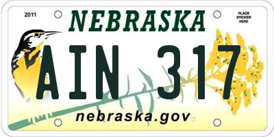 NE license plate AIN317