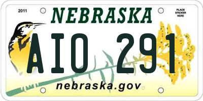 NE license plate AIO291