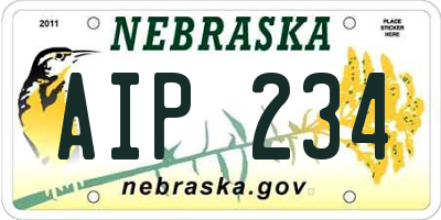 NE license plate AIP234