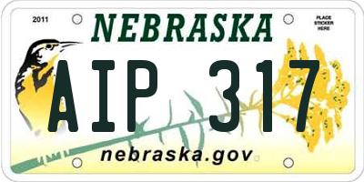 NE license plate AIP317